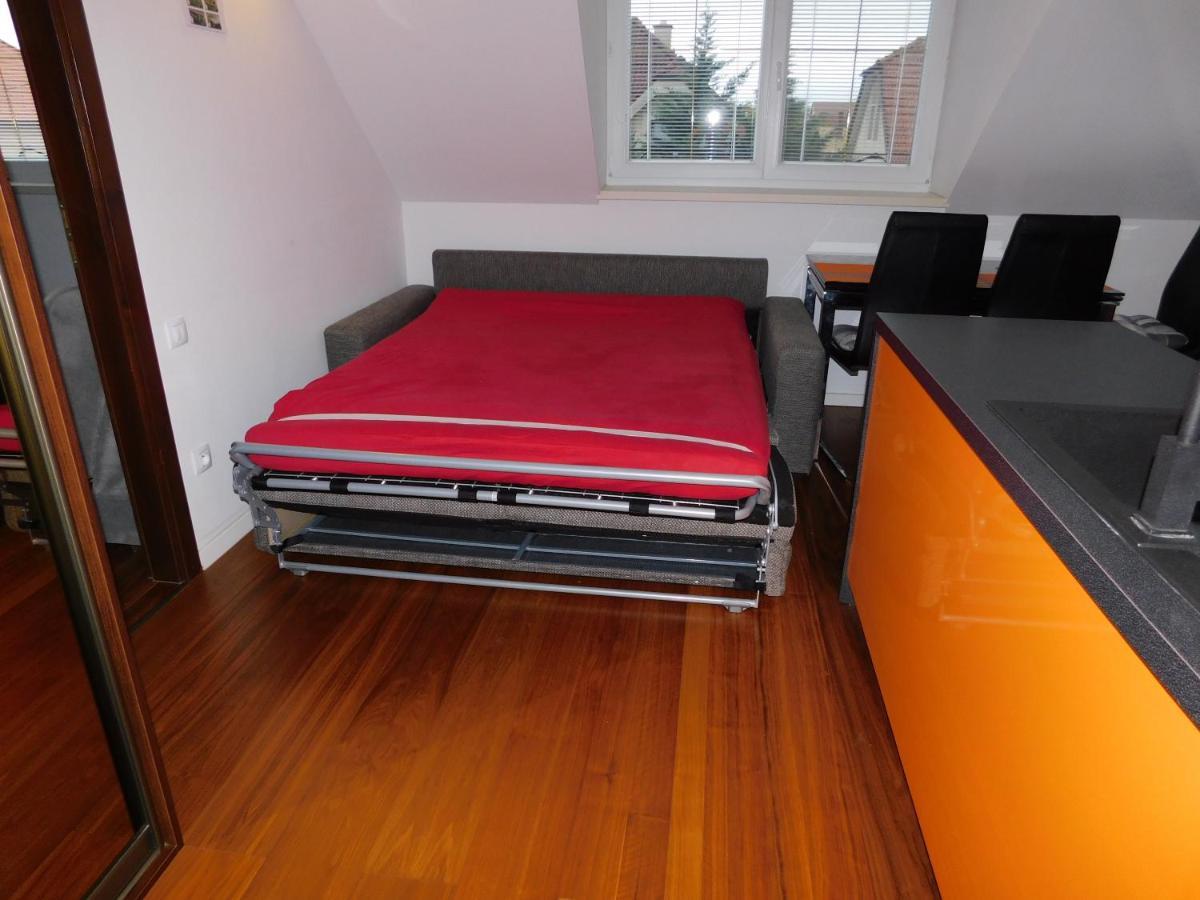 Apartmanovy Penzion ボイニツェ エクステリア 写真