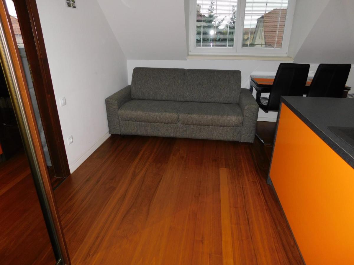 Apartmanovy Penzion ボイニツェ エクステリア 写真