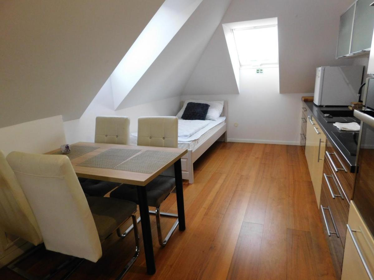 Apartmanovy Penzion ボイニツェ エクステリア 写真