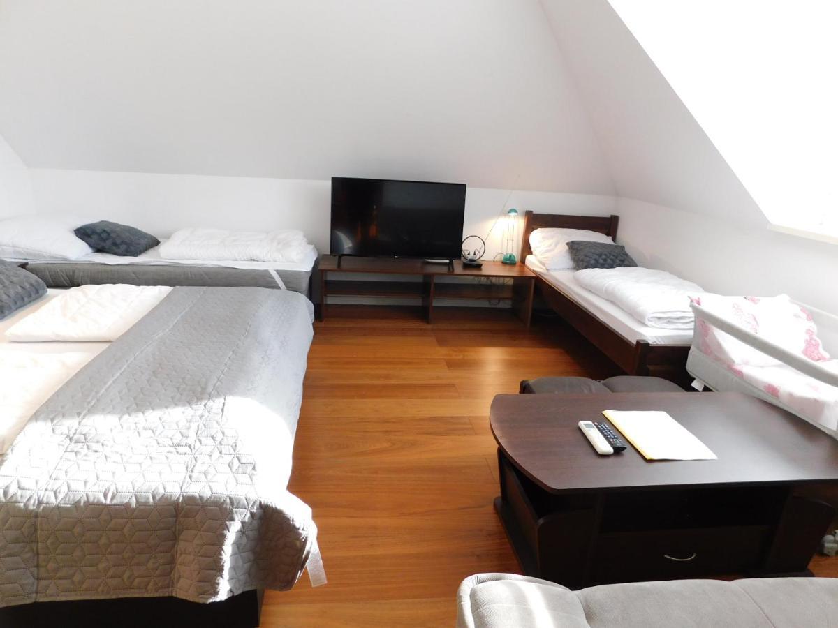 Apartmanovy Penzion ボイニツェ エクステリア 写真