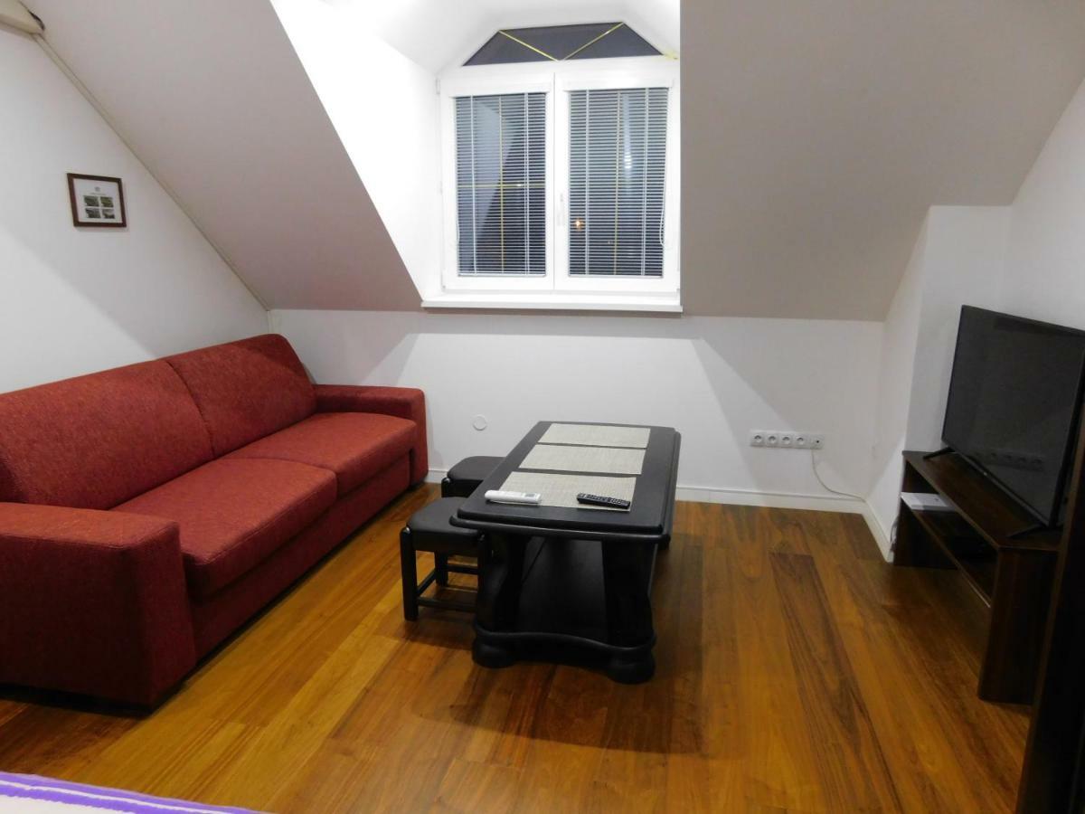 Apartmanovy Penzion ボイニツェ エクステリア 写真