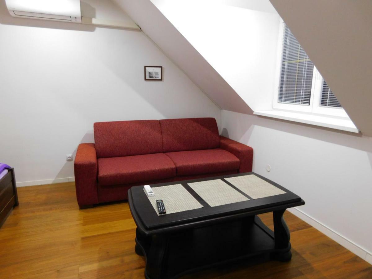 Apartmanovy Penzion ボイニツェ エクステリア 写真