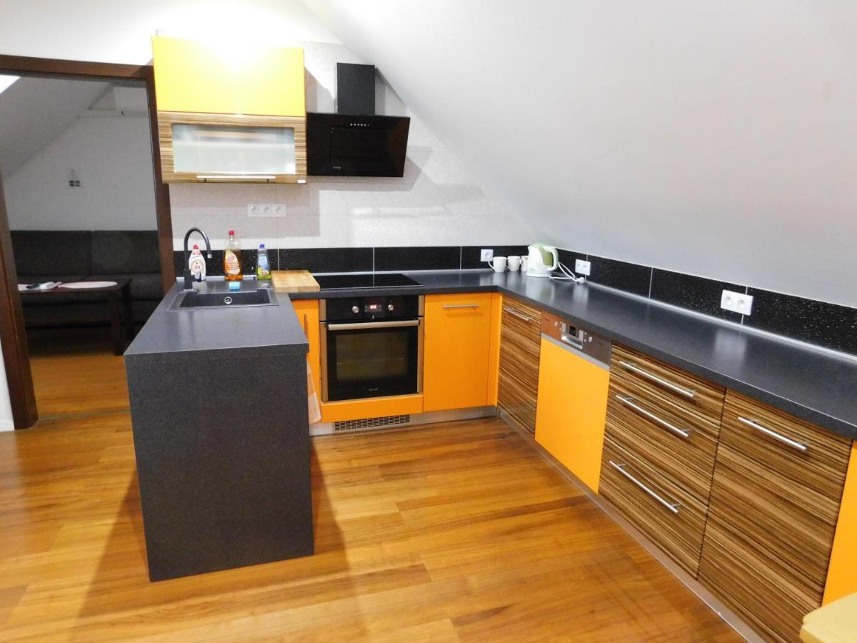 Apartmanovy Penzion ボイニツェ エクステリア 写真